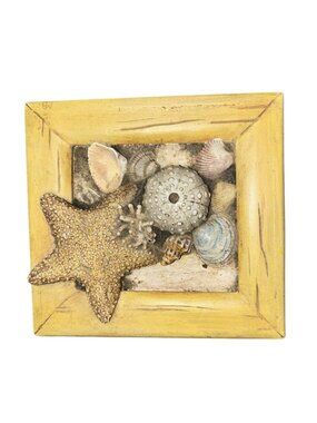 Hallmark Natures Sketchbook Seashell Ocean Themed Trinket Keepsake Box